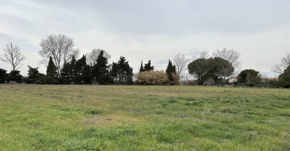 Aménageur lotisseur foncier à Perpignan